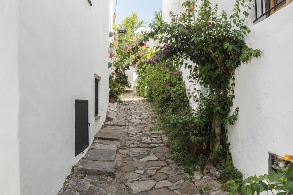 Tranquilo Y Comodo Apartamento En Vejer De La Frontera Vejer de la Frontera Exterior foto